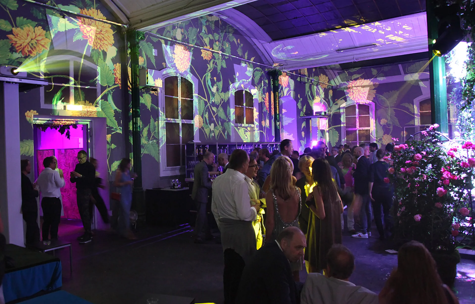Side view of plant projections across windows and the vaulted ceiling