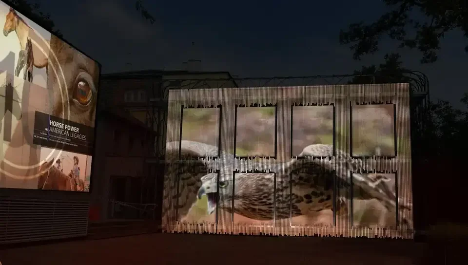 Weite Ansicht von Tierprojektionen auf der Fassade bei Nacht – TERRA MATER, Wien, Österreich